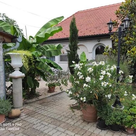 Lavendel Apartman Harkany Ngoại thất bức ảnh