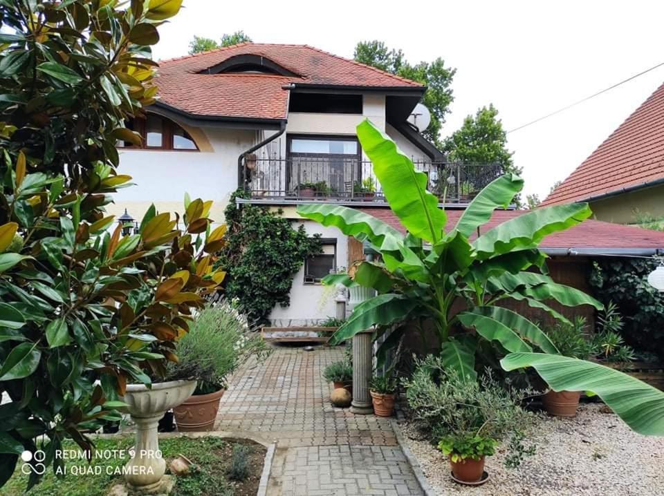 Lavendel Apartman Harkany Ngoại thất bức ảnh